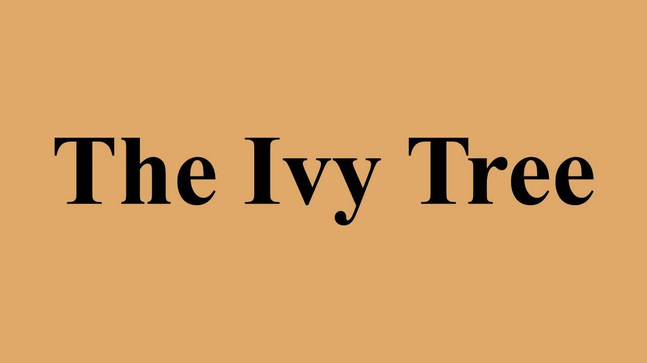 The Ivy Tree