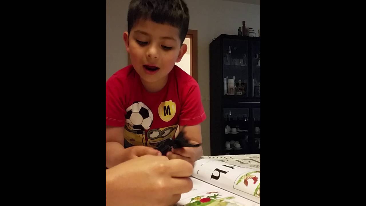 L&uacute;kas ense&ntilde;ando a leer en island&eacute;s a frank