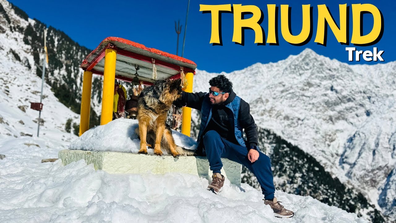 Winter Triund Trek 2024  | Himachal Pradesh | @Tanujkashyap