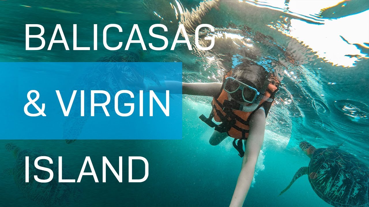Filipiny 🏝️ Balicasag i Virgin Island, czyli ile kosztuje island hopping i pływanie z ż&oacute;łwiami?