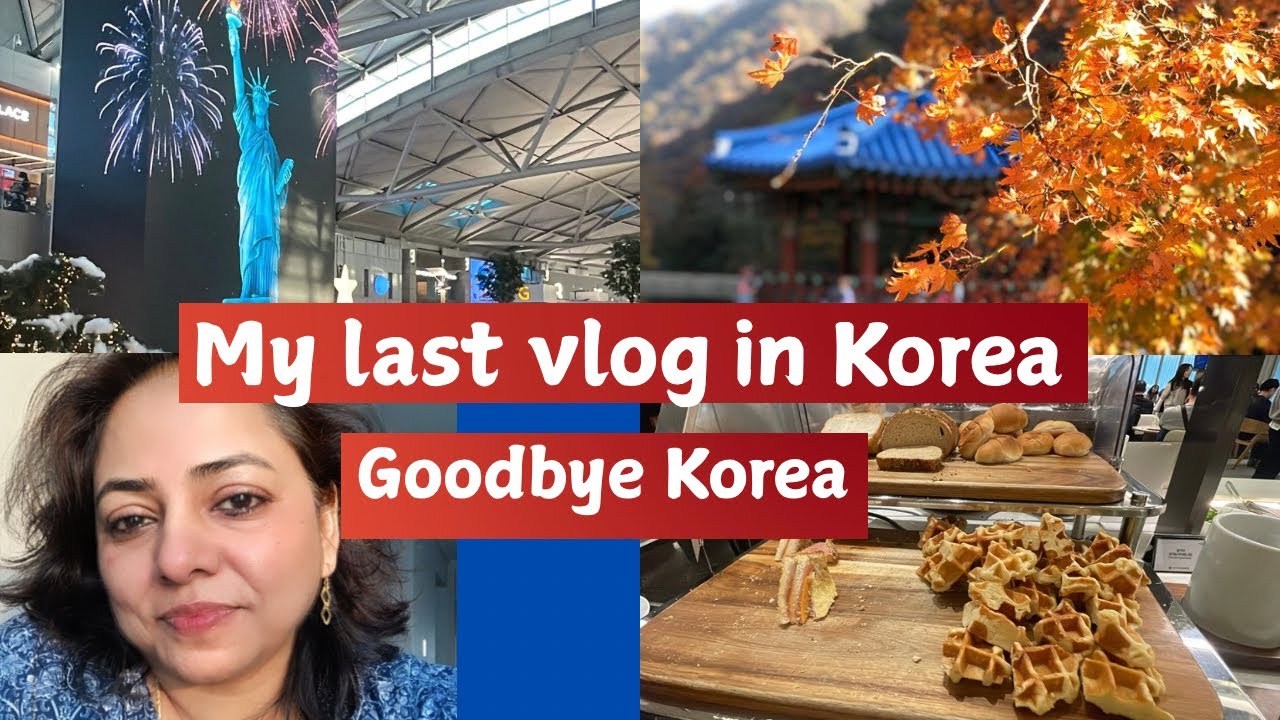 My Last Vlog In Korea ❤️🇰🇷| Friends Food  &Flight  | Last Day Vlog | Incheon Airport, lounge | 