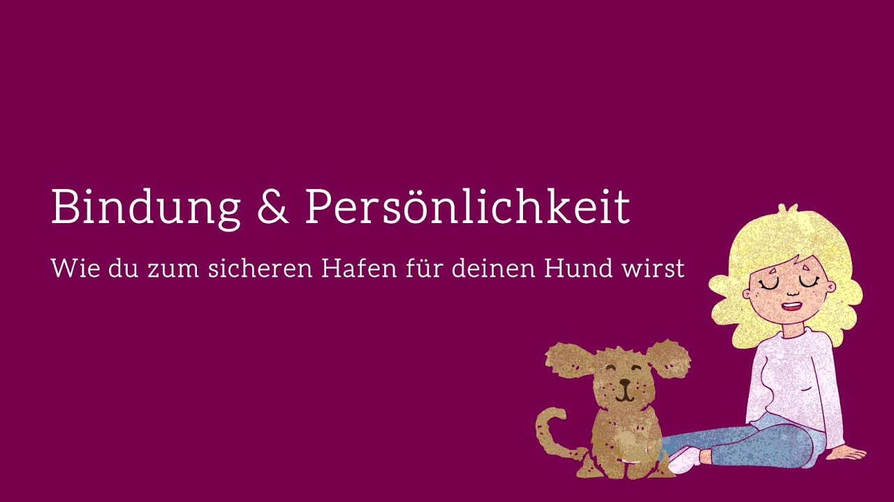 Bindung & Persönlichkeit - Wie du zum sicheren Hafen für deinen Hund wirst | Ein Einblick