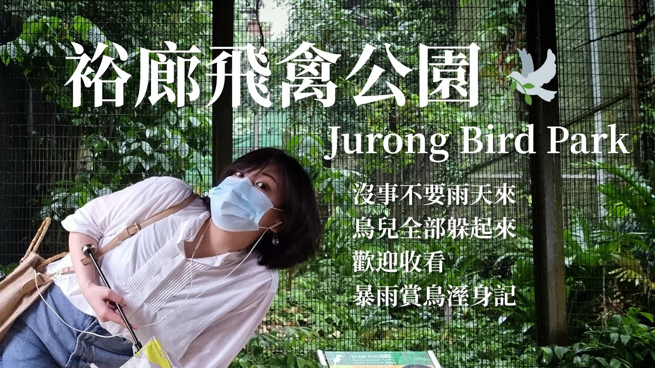 【SG🇸🇬】新加坡半日行程：裕廊飛禽公園 暴雨賞鳥溼身記😂 Jurong Bird Park | Cindy L