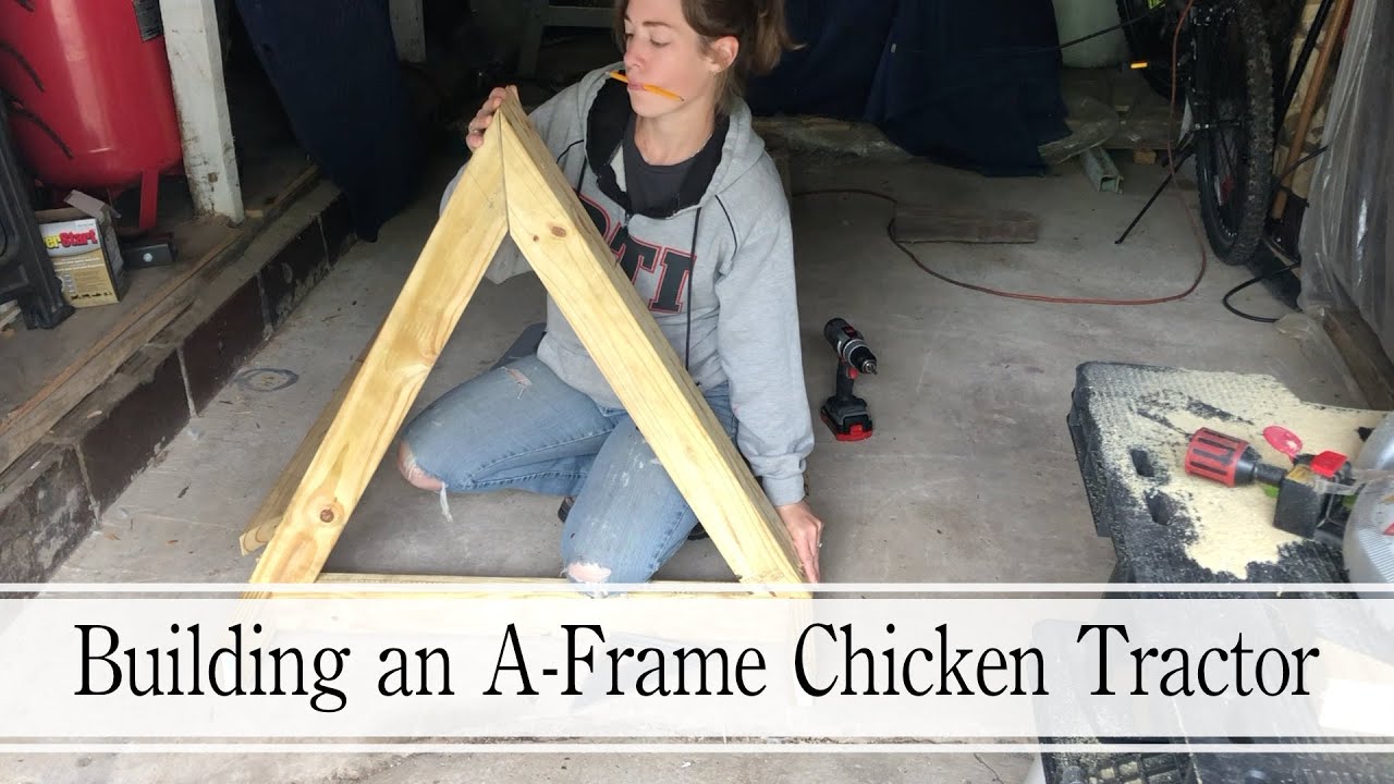 Building an A-Frame Chicken Tractor For My Rooster - Day 1