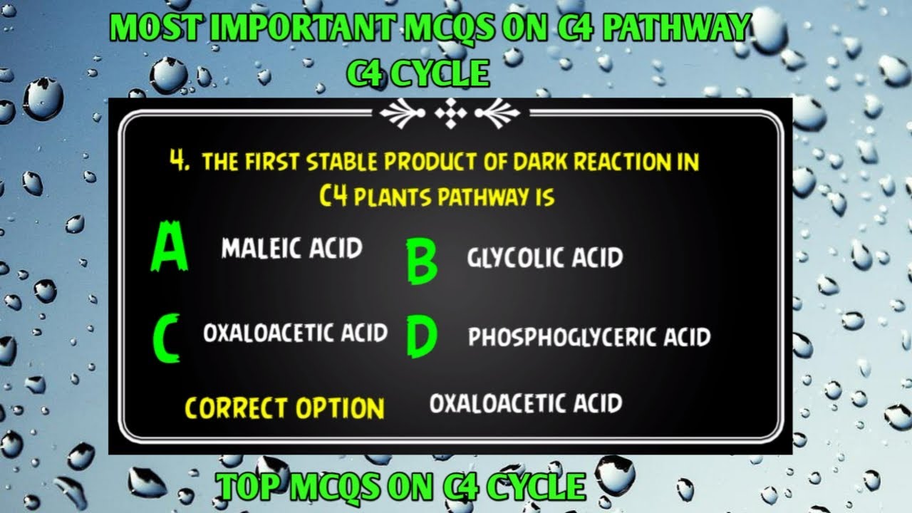 Mcqs on C4 pathway|| photosynthesis|| plant physiology||QUIZ CENTRE