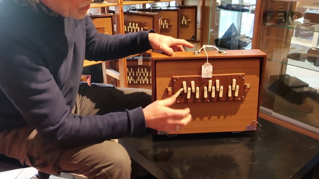 #3 Shruti Box - Quel modèle choisir? Pick & Boch musique