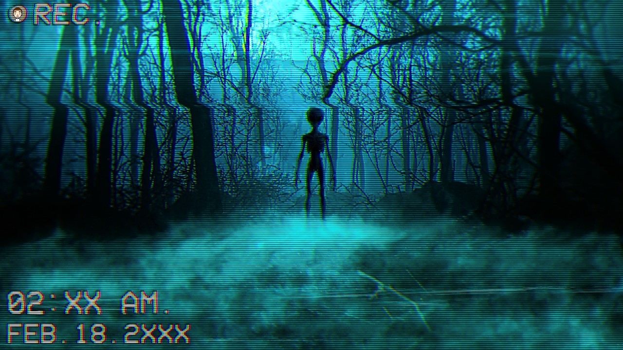 We Investigated the Woods Where Hundreds of People Go Missing
