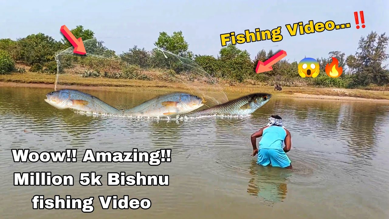Best Net Fishing - Traditional Cast | Village Fishermen Casting Net fishing Video
