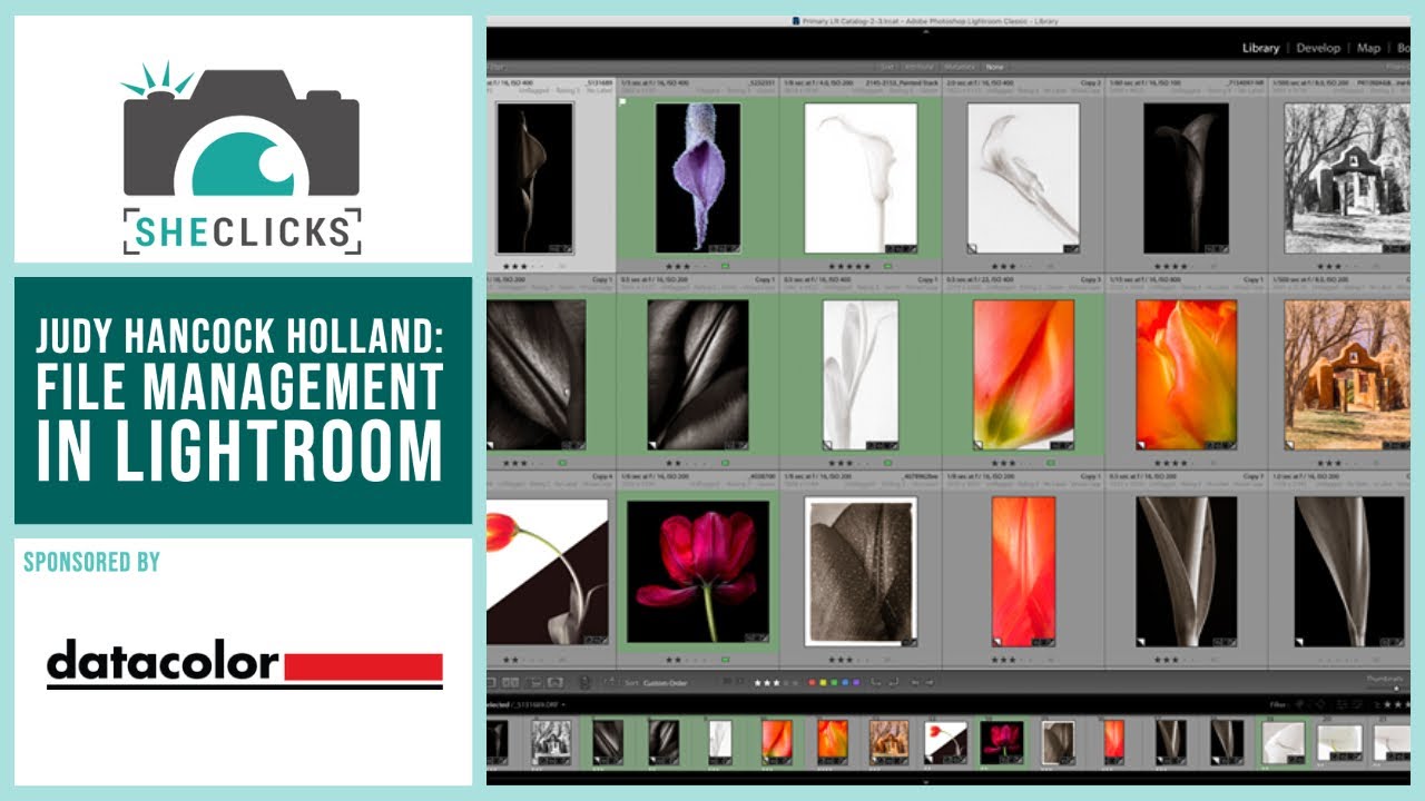 File Management in Adobe Lightroom by Judy Hancock Holland