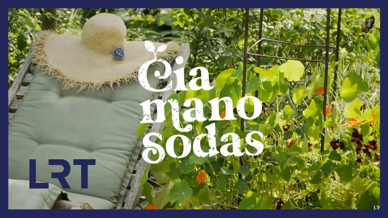 Čia mano sodas. Bijūnas – gėlė karalienė, daugiamečių augalų kompozicijos vazone ir patarimai, kaip