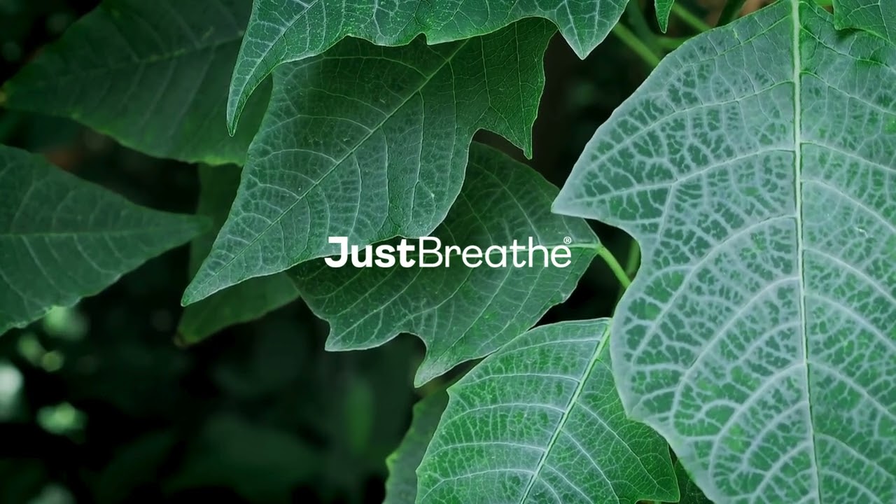 Meditation for a Busy Mind – Balance