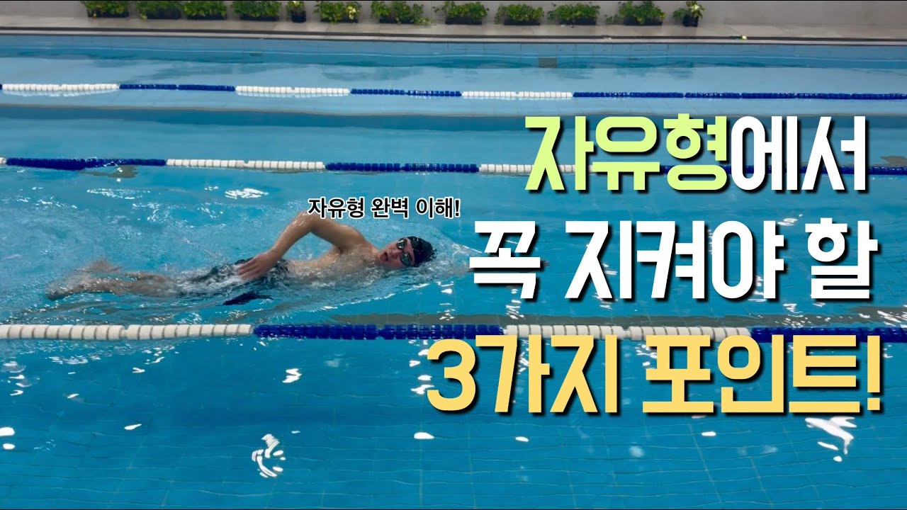 자유형 팔동작에서 지켜야할 포인트 3가지! 자유형 왼팔, 오른팔 연결동작까지!
