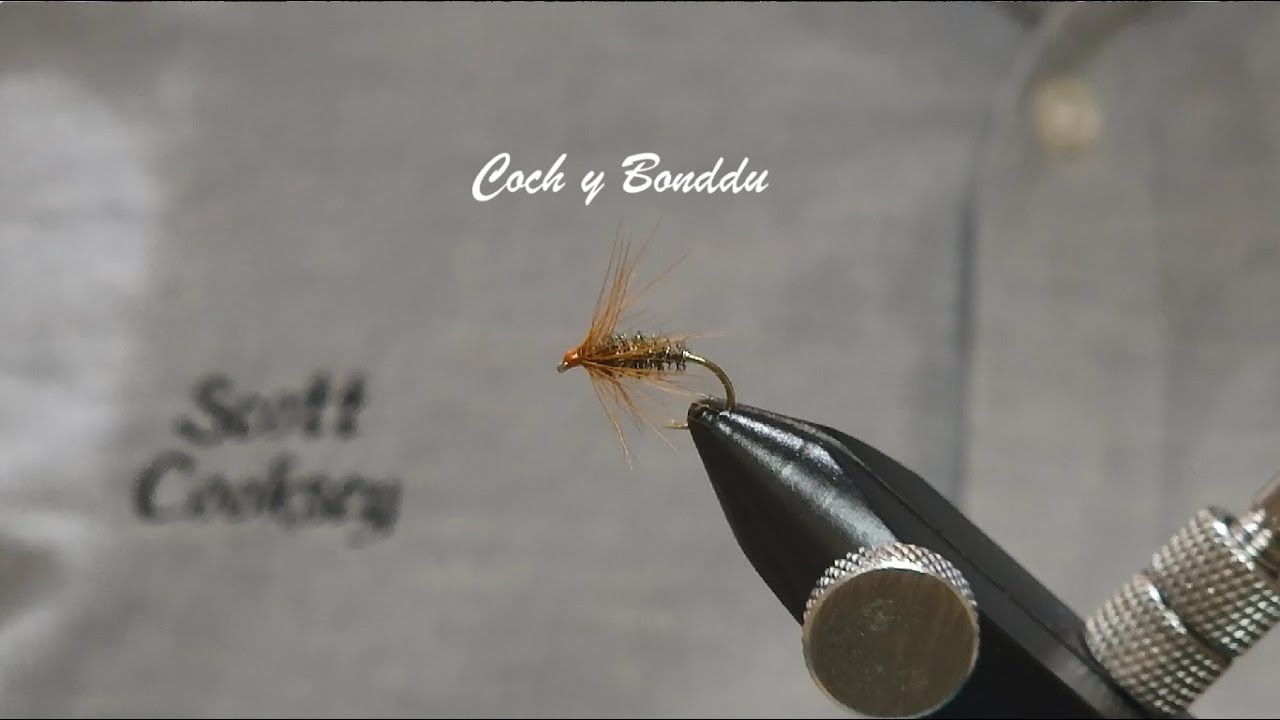 Coch y Bonddu