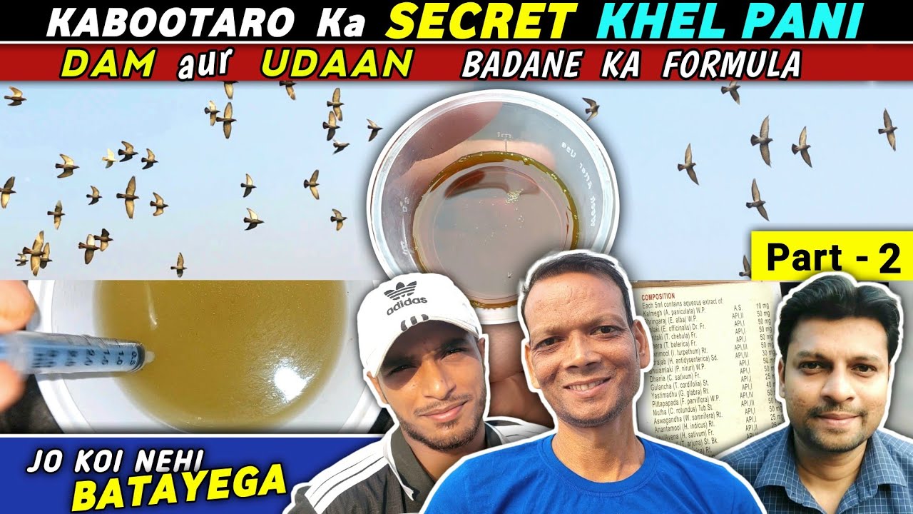 Kabootar Ka Khel Pani by Shankar Ustaad | Kabootaro Ka Dam aur Udaan Badane Ka Tarika