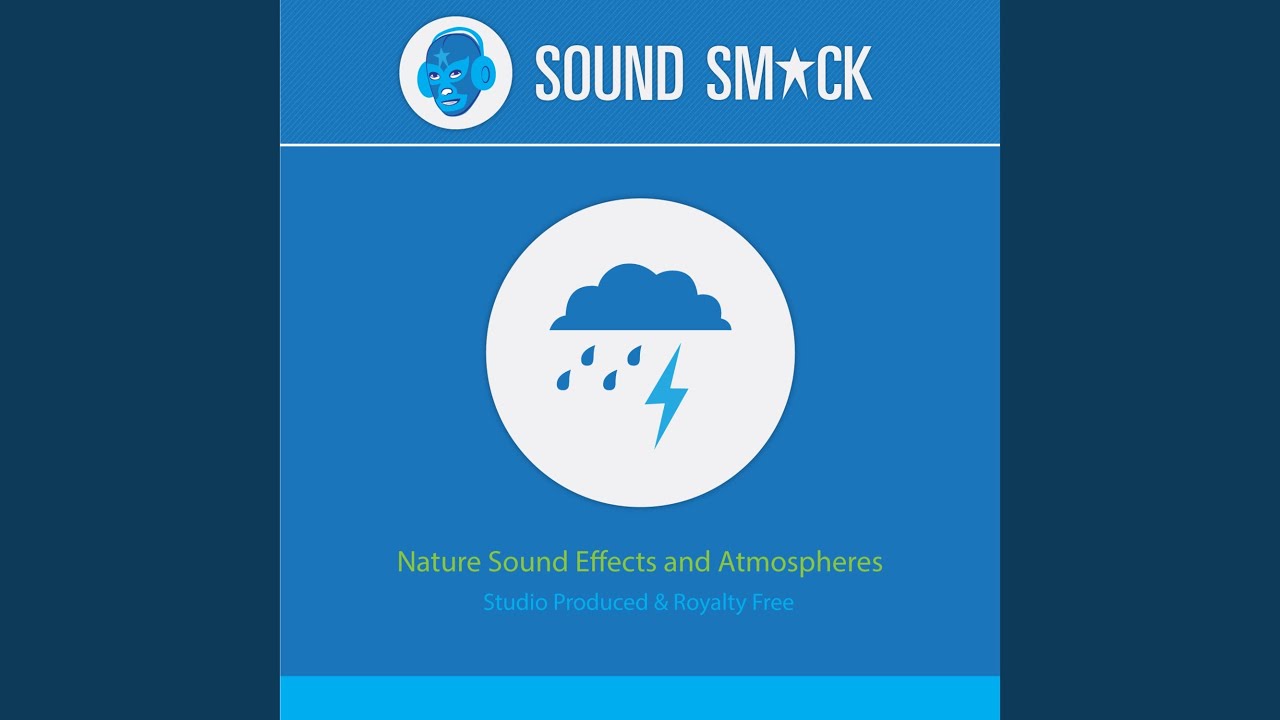Deep in the Woods on a Quiet Night Sound Effect