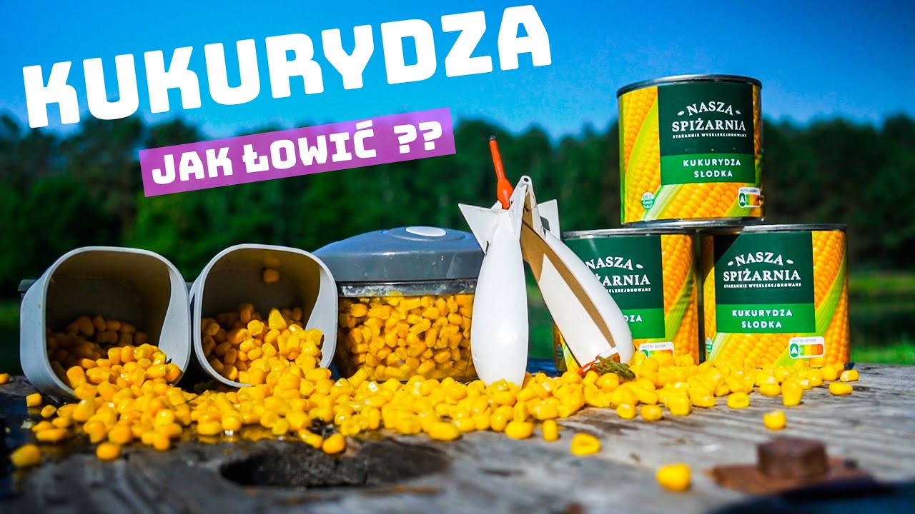 KUKURYDZA - Jak łowić ?? Serwujemy koktajl na karpie