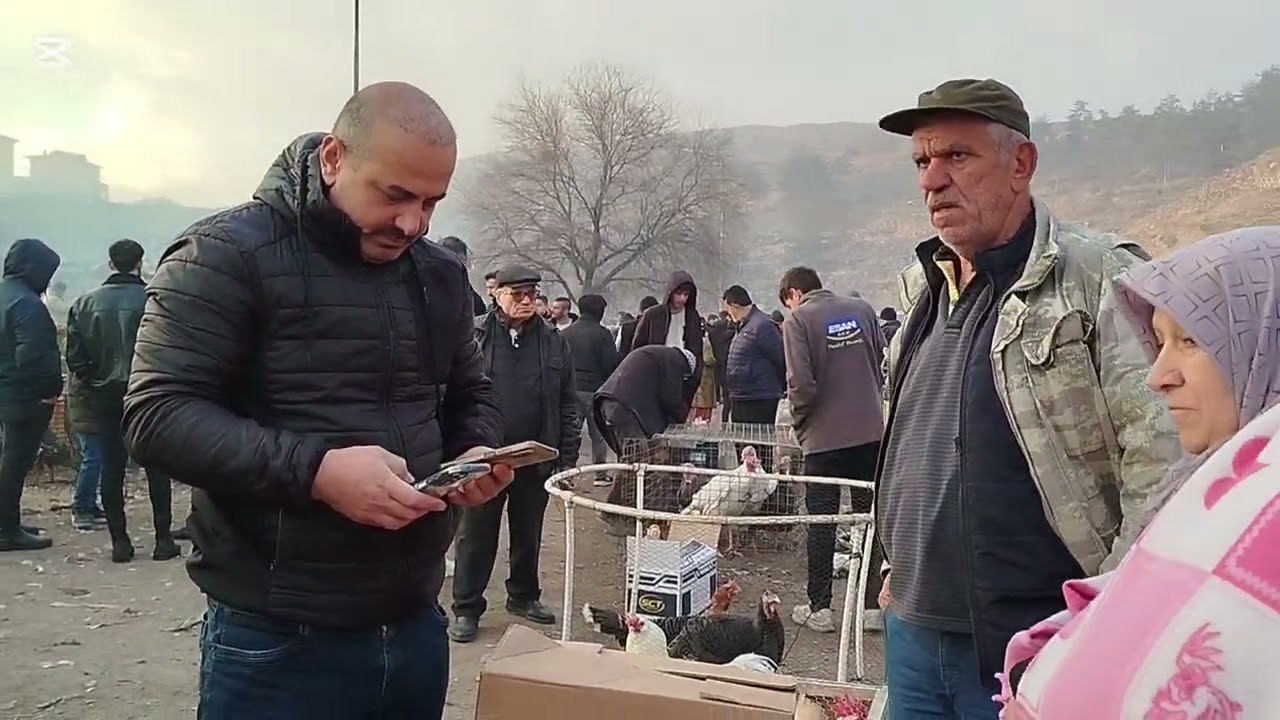 Kayseri Bit Pazarında Tavuk Pazarını Gezdik