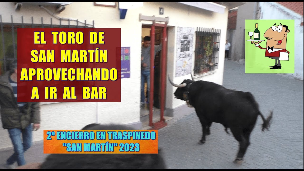 Traspinedo (Va), 2º Encierro. "San Martín": 12/11/2023