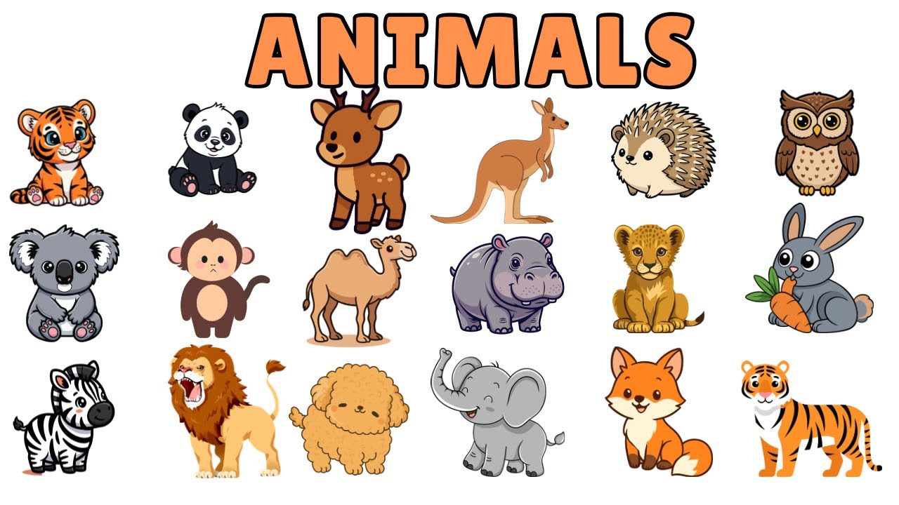 20 Animals Names For Kids | Animals Names for Baby