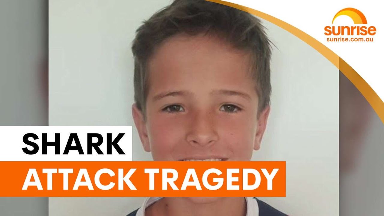 Boy not expected to survive Sydney shark attack | Sunrise