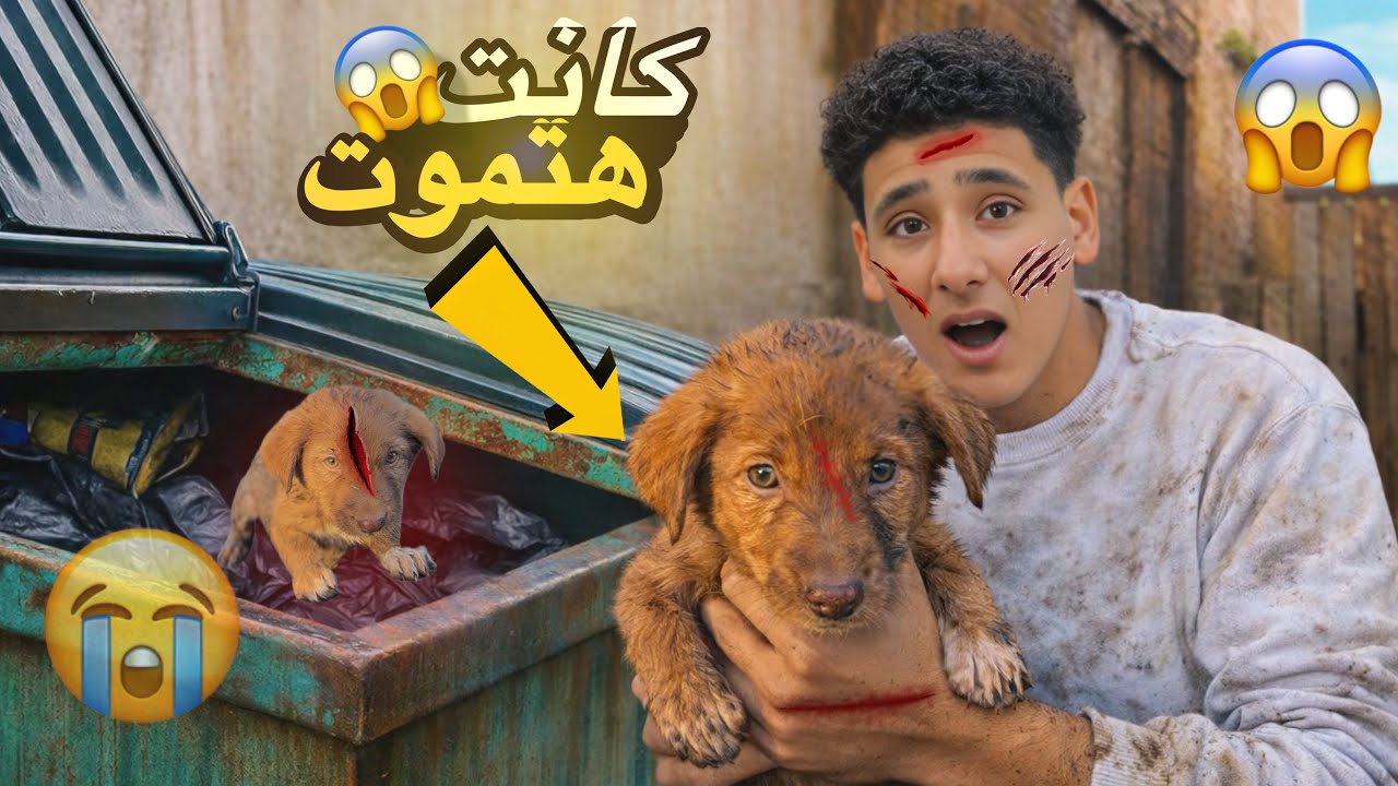 انقذت كلبه من الهلاك😱||عملت معاها حاجه غريبه😭