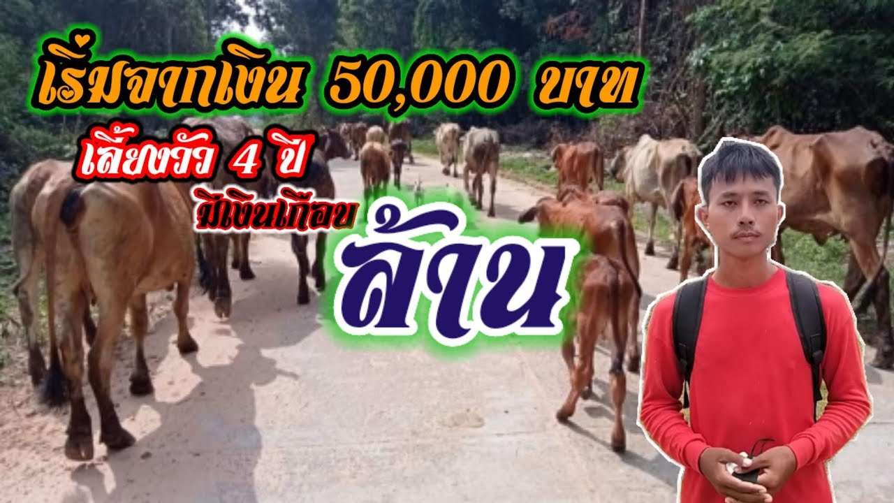 เลี้ยงเริ่มจากเงิน 50,000 บาท ใช้เวลา 4 ปี มีเงินเกือบล้าน
