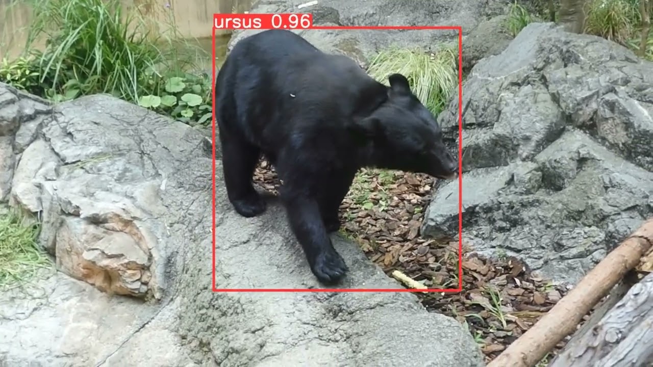 ツキノワグマ対策｜物体検知AIによる検出テスト②