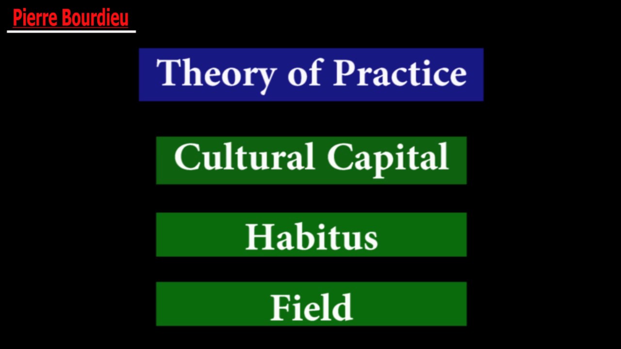 Pierre Bourdieu full lecture
