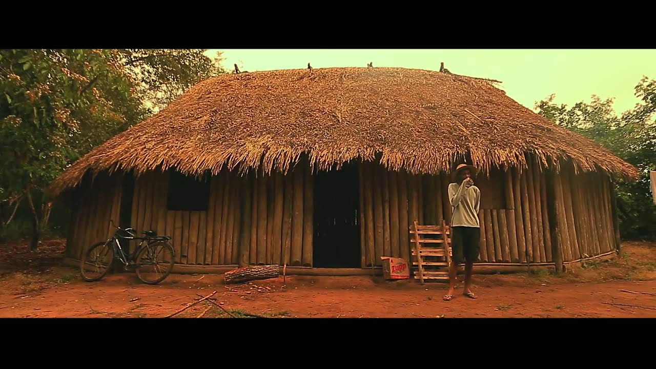 Via de Reis Apresenta Korotowi E as Árvores do Xingu!