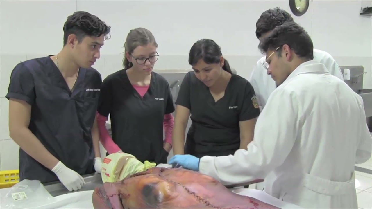 Médico Cirujano y Partero