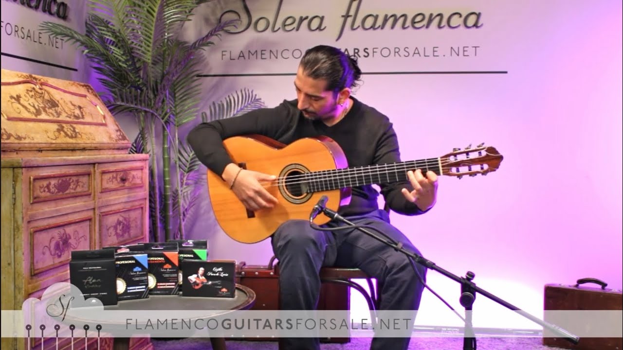 Lester Devoe 2006 flamenco guitar for sale played by José Andrés Cortés
