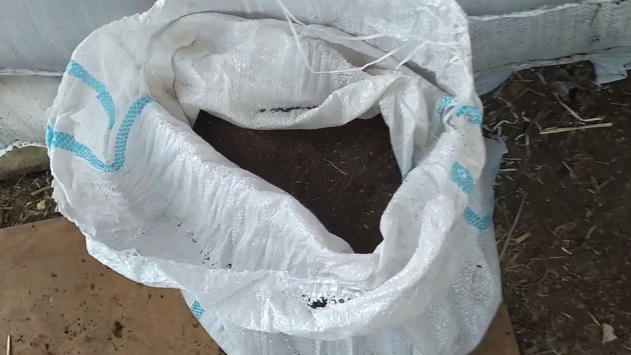 настоящий биогумус