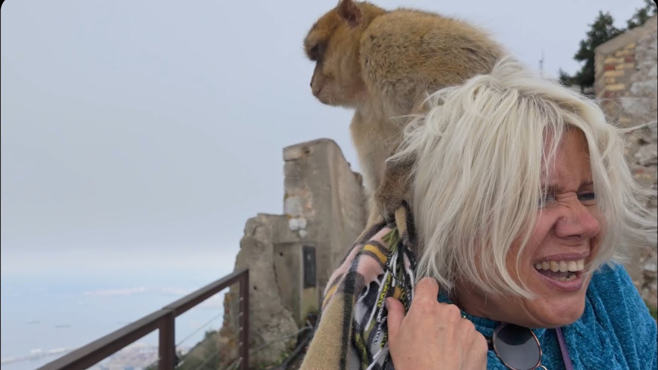 Gibraltar: Just the Monkeys!