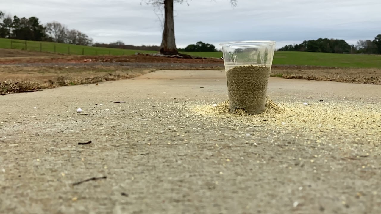 Airsoft BB vs cup of seasoning