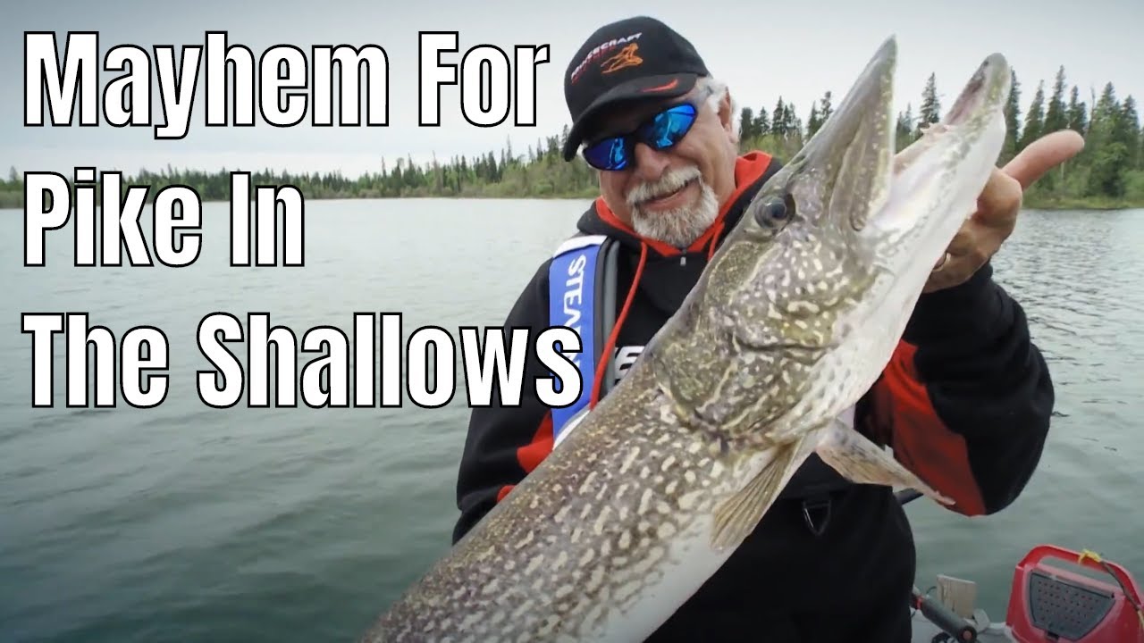 Absolutny chaos wśr&oacute;d szczupak&oacute;w na płyciznach | Fish'n Canada