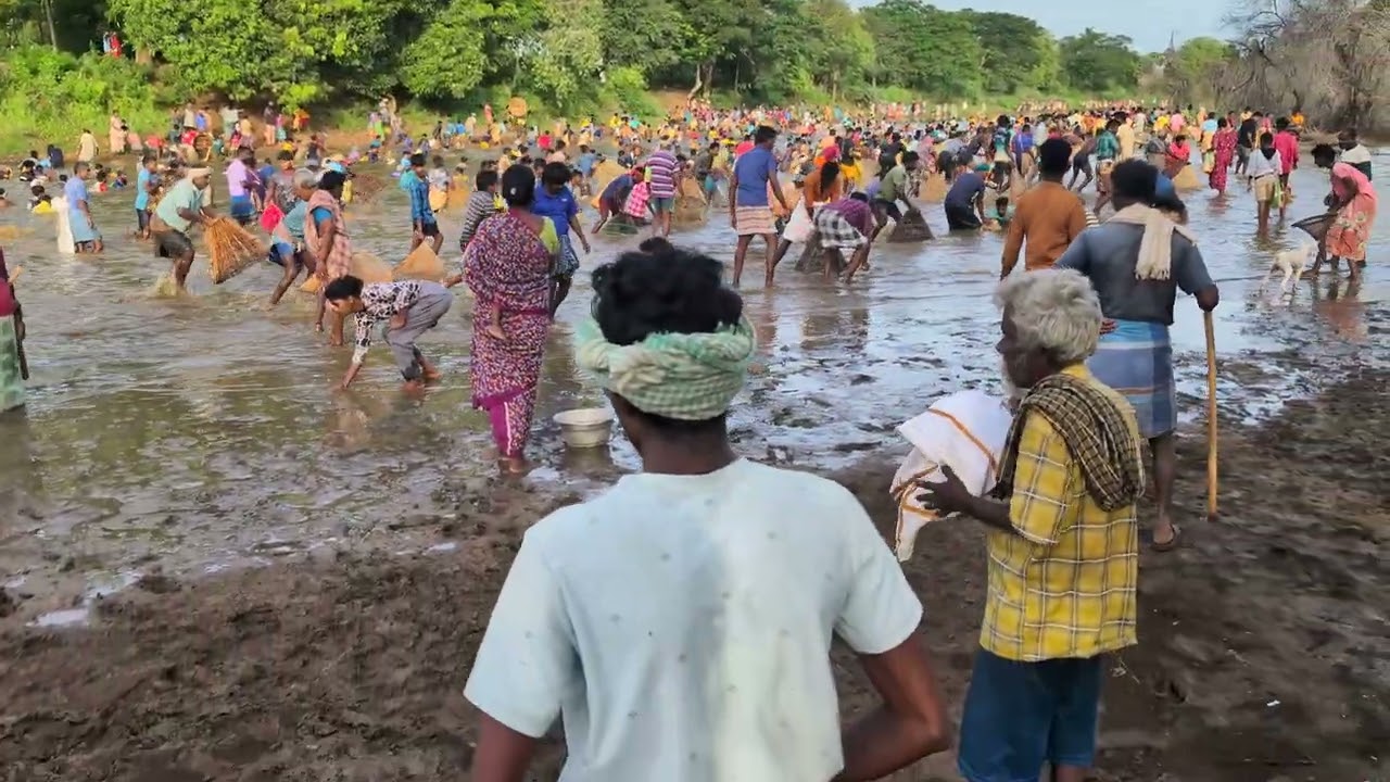ஊரோட கண்மாய்க்கு மீன் பிடிக்க வந்துட்டோம்🐠🦈 // Muthur village // Senka Kulali