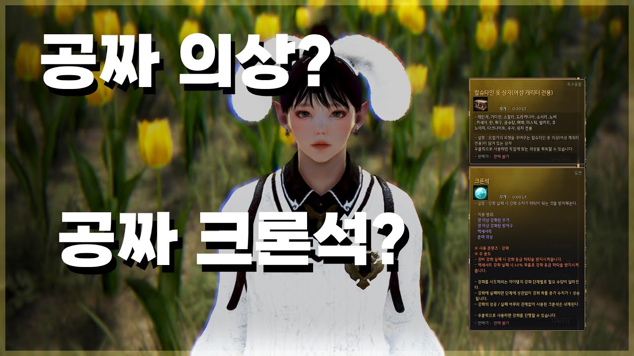 BlackDesert [검은사막] 칼슈타인 의상 제작! 무료 크론석!