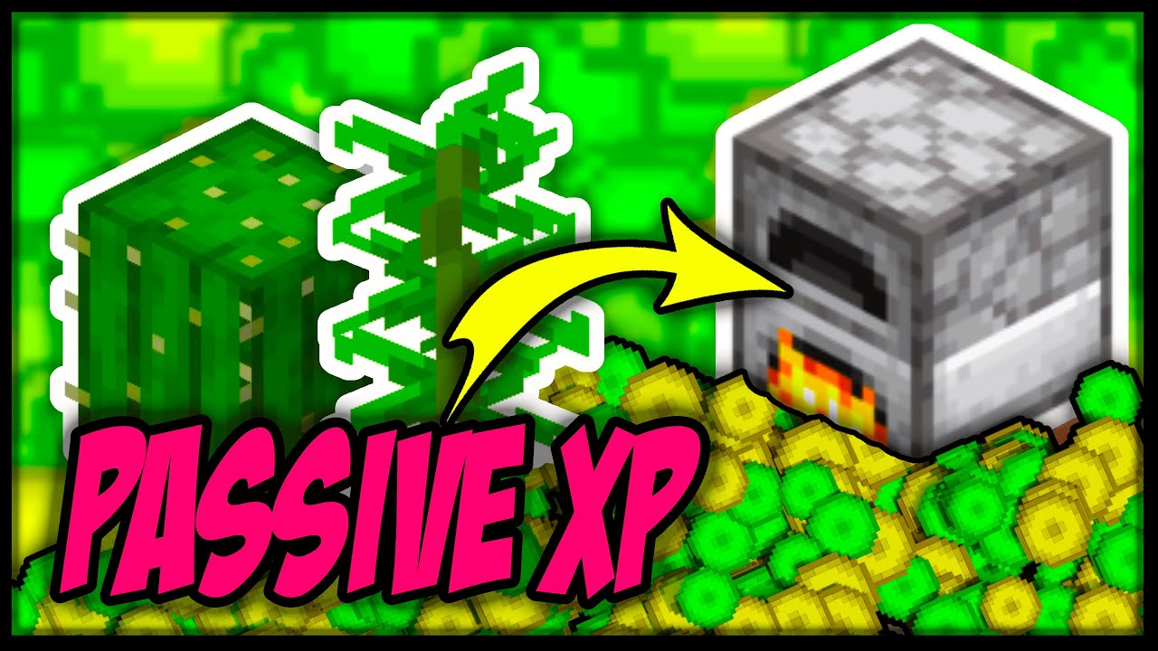 Passive EXP BANK for Minecraft 1.18 &bull; Using Kelp/Cactus in Furnaces XP