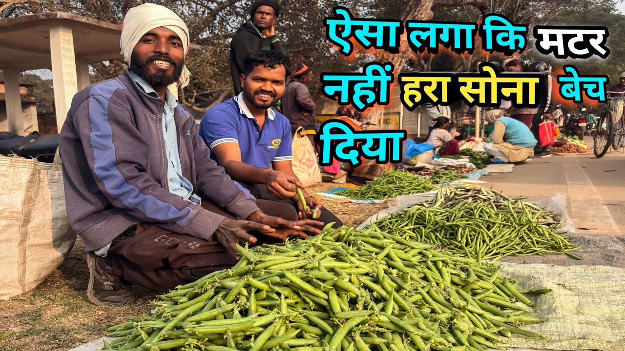 ऐसा लगा कि मटर नहीं हरा सोना बेच दिया 🫛🫛🫛// Ranchi Raja//Raja Oraon 