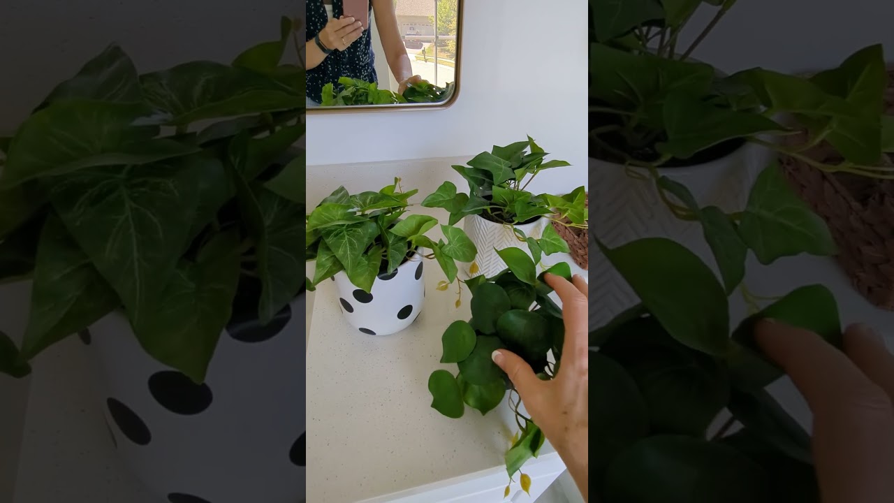Set of 3 Plants - REAL or FAKE?? Honest Review & Demo