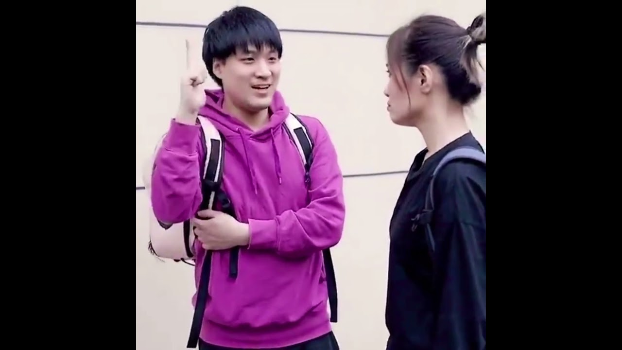 HiAnimal Cat Carrier on Wheels 2 Color Backpack🥰