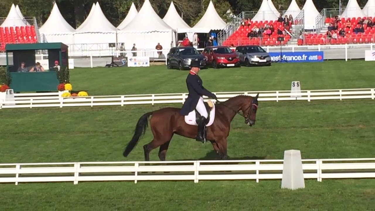 Aristo AZ-Mondial du Lion 2017 - dressage