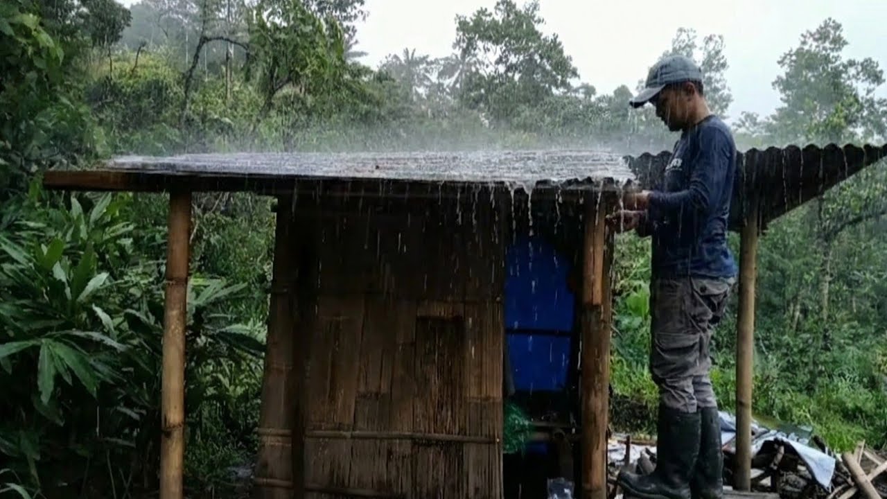 Camping 2 Days Renovating Shelter In The Forest Alone And Surviving