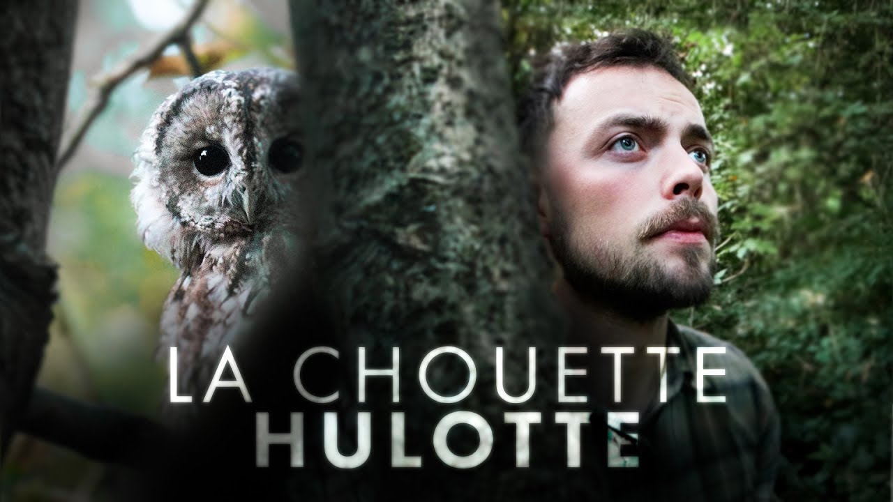 La Chouette Hulotte - 2 MOIS en QUÊTE d'un fantôme