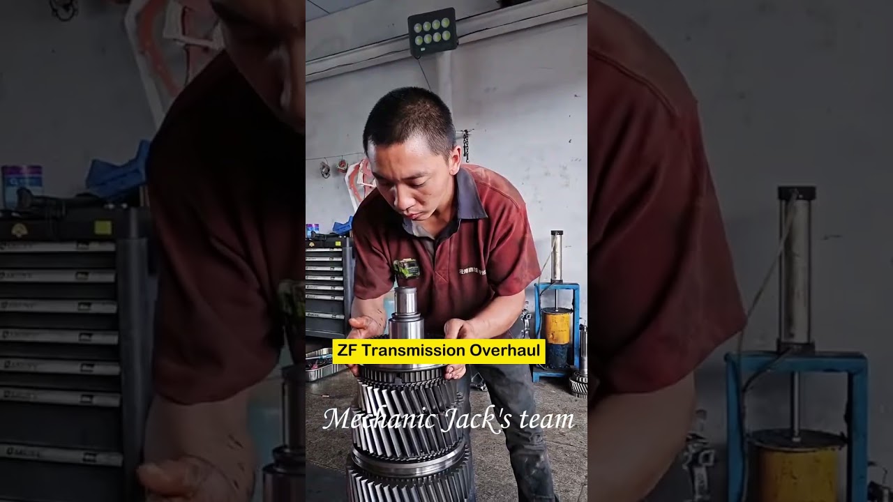 ZF Transmission Overhaul