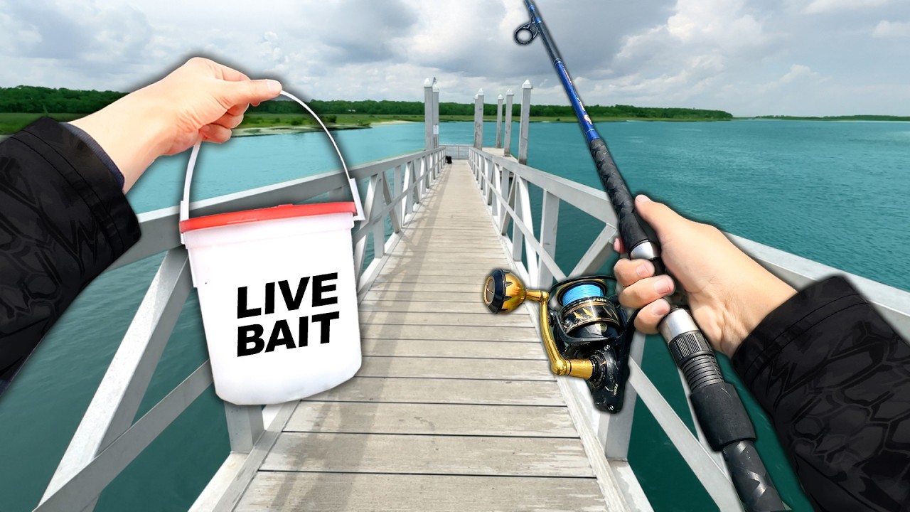 Fishing a NEW PIER for Whatever Bites.. (Surprising!)