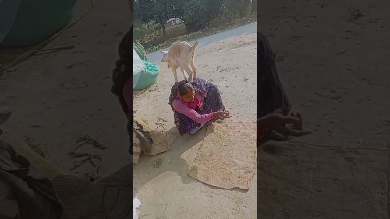 #song