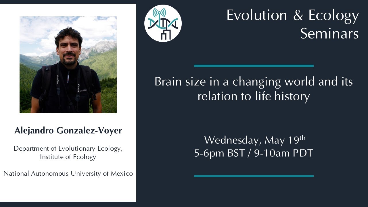 [Alejandro Gonzalez-Voyer] Brain size in a changing world and its relation to life history