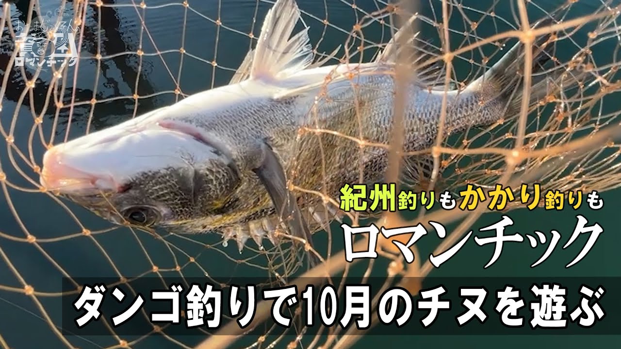 チヌ釣り【ウキあり派？ウキなし派？】どっちも遊べる10月のクロダイダンゴ釣り！ep.083
