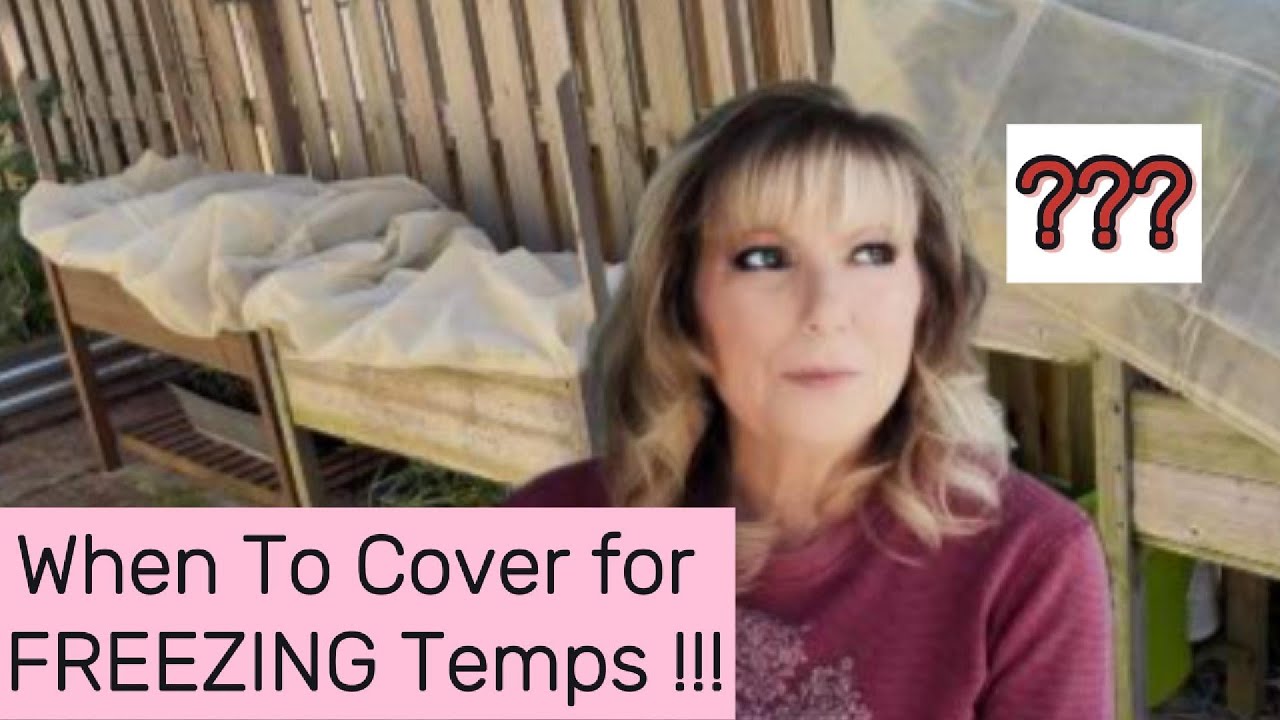 FREEZE AND FROST....Easy TIPS on When To Protect Your Garden!